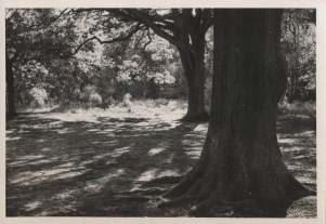 Original photograph of Southborough Common 28/8/1960.